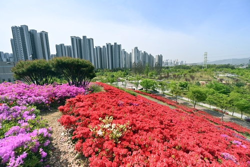 하남시 철쭉동산