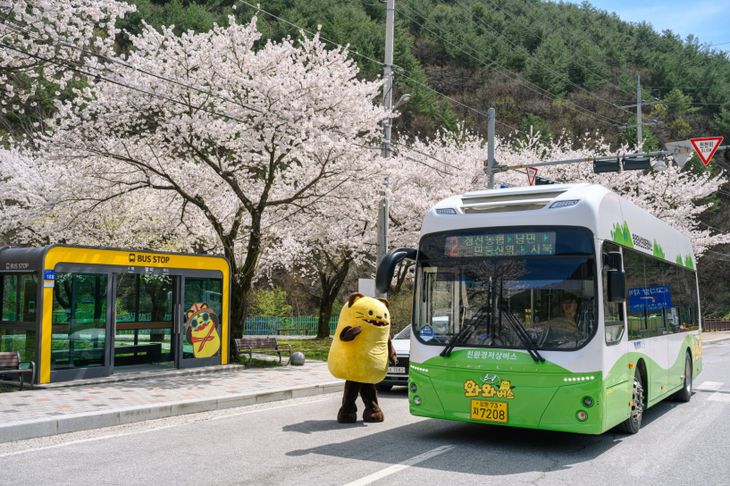 정선군 공영버스 '와와버스'