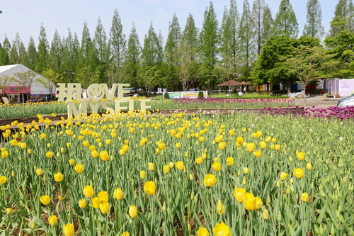 2026고양국제꽃박람회 현장