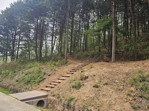 양평군 용문면 어미산 등산로 입구