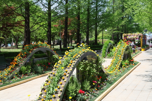 2026고양국제꽃박람회 현장