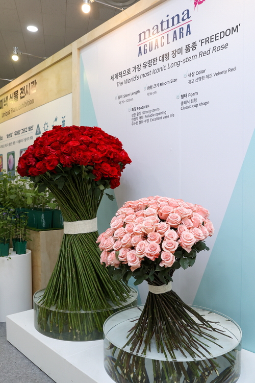 2026년 고양국제꽃박람회 시선 끄는 이색식물