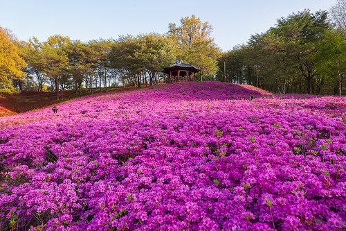 시흥시 오난산전망공원