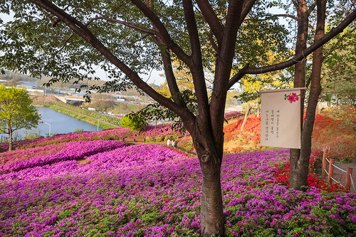 시흥시 오난산전망공원