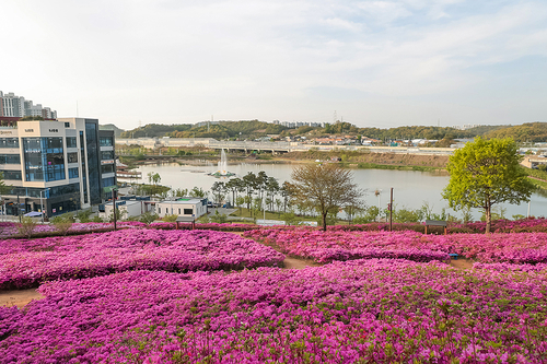 시흥시 오난산전망공원