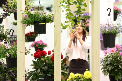 2026고양국제꽃박람회 개막 후 첫 주말