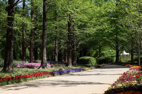 2026고양국제꽃박람회 1억송이 '꽃의 향연'