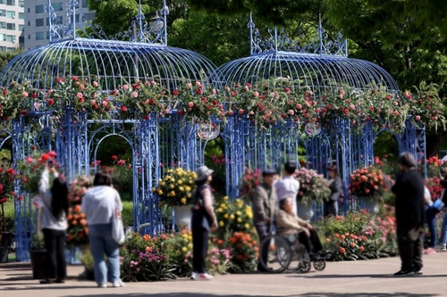 2026고양국제꽃박람회 1억송이 '꽃의 향연'