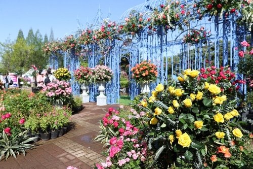 2026고양국제꽃박람회 1억송이 '꽃의 향연'