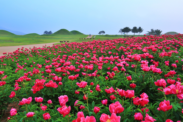 관광교통 공모 '전국 최다'…체류형 관광 기반 확대