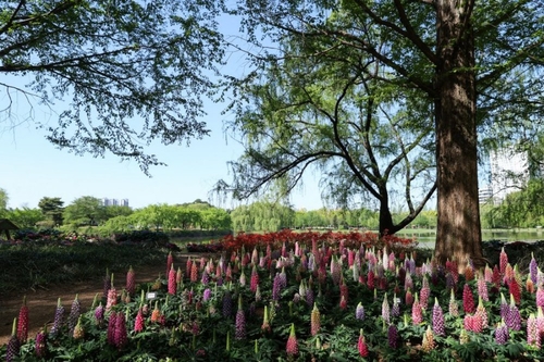 2026고양국제꽃박람회 1억송이 '꽃의 향연'