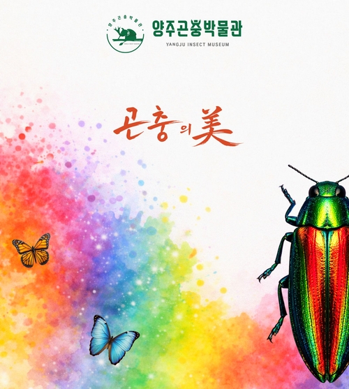 양주시 양주곤충박물관 '곤충의 미(美)-색충전' 개최 배너