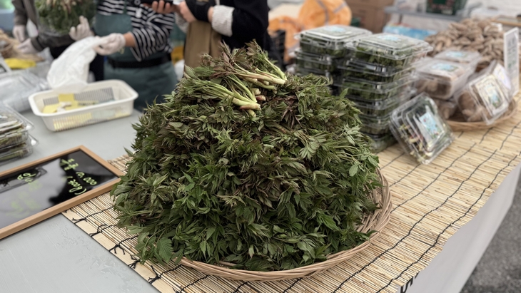 제8회 홍천 산나물 축제