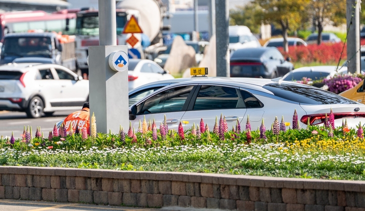 27일 개혁신당 정이한 후보가 금정구에서 거리 유세 도중 차량에서 뿌려진 음료를 맞고 넘어져 병원으로 옮겨졌다.