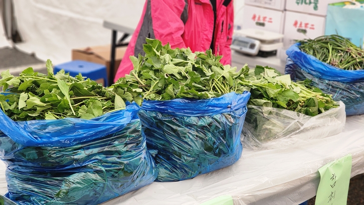 제8회 홍천 산나물 축제