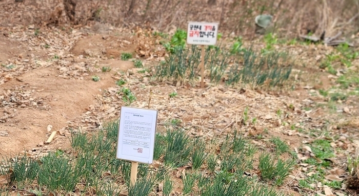 익산시, 공원 내 불법 경작·무단점유 대대적 점검 나서