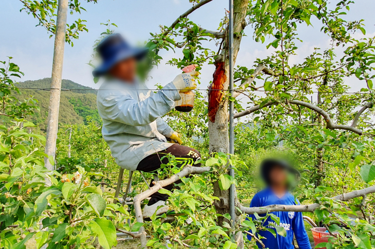 청송군, 외국인 계절근로자로 농촌 인력난 대응