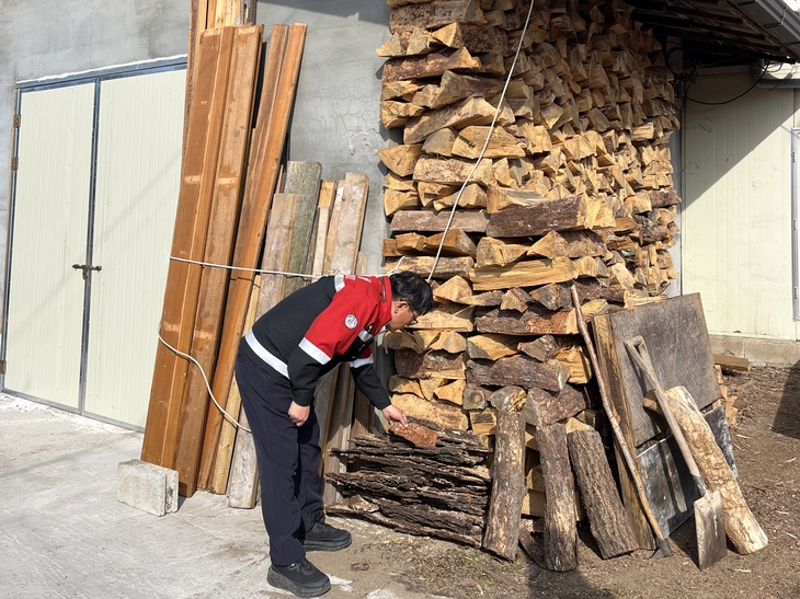 소나무재선충병 확산 차단…무단 이동 집중 단속