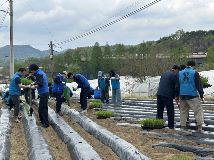 심평원 임직원 및 기자단 농촌 일손 돕기