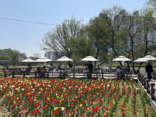 의정부시 하천 불법 경작지 튤립 정원으로 조성