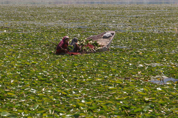 INDIA PHOTO SET KASHMIR LAKES