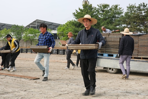 이동환 고양특례시장 2일 품앗이 전통을 잇는 가와지1호 모판 나르기 행사 동참