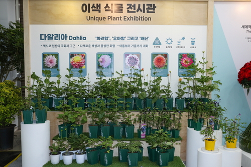 2026고양국제꽃박람회 실내전시관