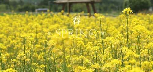 양주나리농원 봄 전경