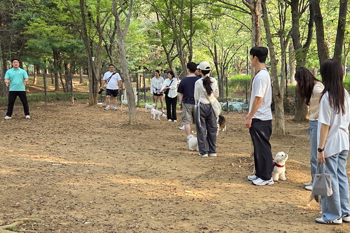 고양특례시 반려동물 문화교실-펫티켓 산책교실