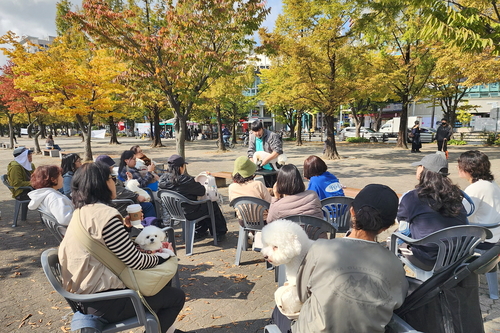 2025년 고양동물교감치유문화제 현장
