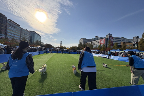 2025년 고양동물교감치유문화제 현장