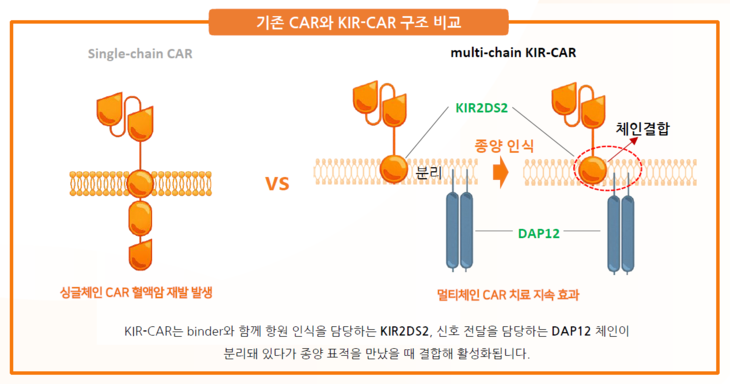KIR-CAR