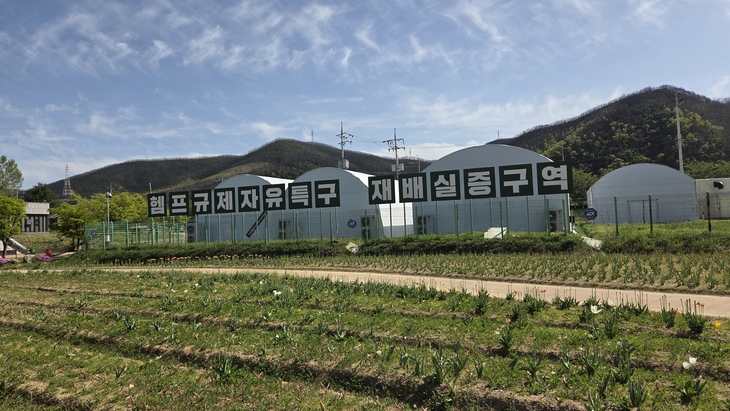 경북 북부권, 산업용 헴프 산업 중심지 도약