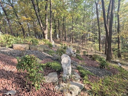 의정부시 '추동 숲정원'- 우리꽃정원