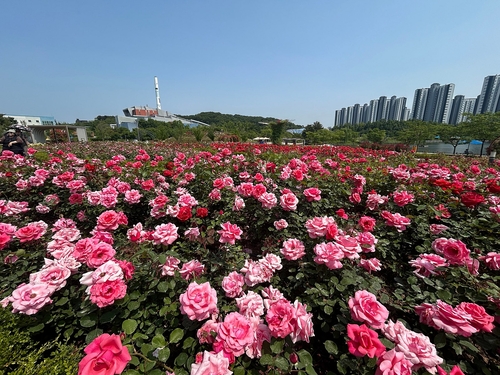 김포한강신도시 호수공원 장미원 전경
