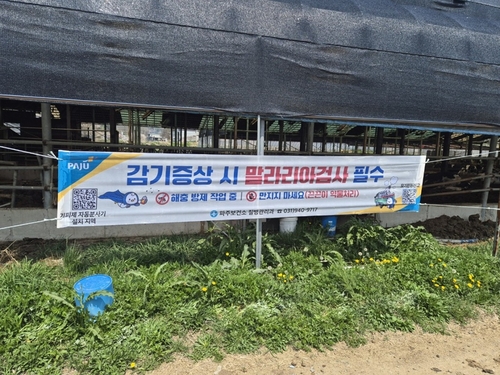 파주시 '모기 잡는 현수막'