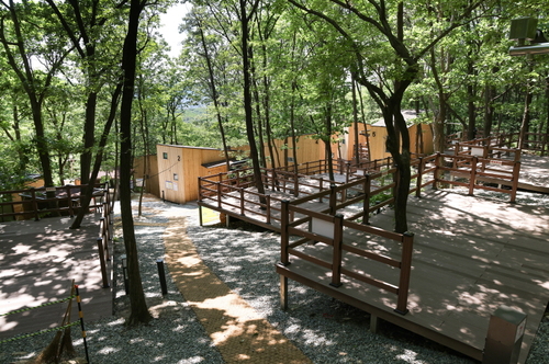 의왕시 바라산 자연휴양림 야영 데크