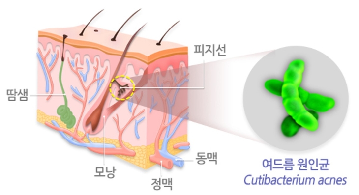 질병관리청 국가건강정보포털