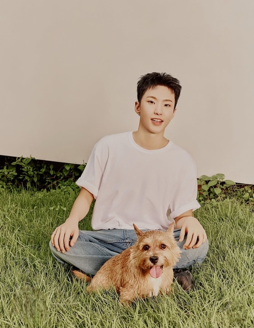 그룹 세븐틴 호시