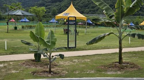 포천시 한여울파크골프장 36홀 전경