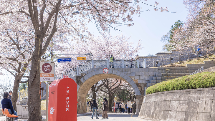팔달문 회주도로 8 제공=수원시