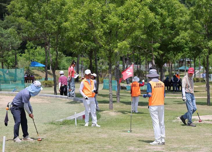 영양군, 제7회 영양군수배 파크골프대회 개최