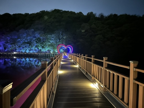 파주 공릉호수 '빛의 산책길'