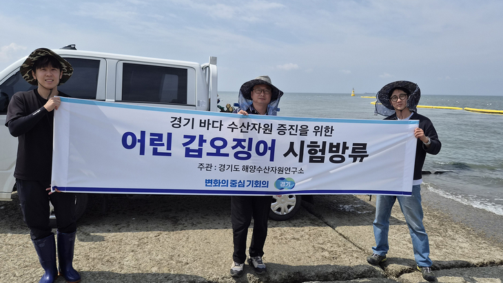 경기도해양수산자원연구소는 화성 연안에 갑오징어 3만 마리를 시험 방류했다. 제공=경기도
