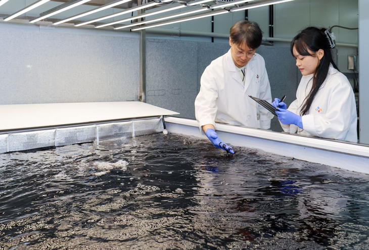 경기도 수원시에 위치한 CJ제일제당 블로썸파크에서 연구원들이 배양 중인 육상양식 김 상태를 점검하고 있다.