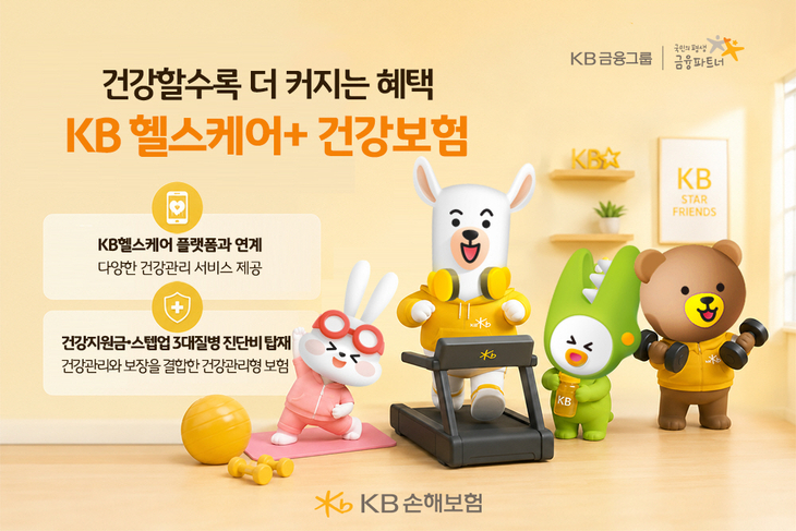 KB손보