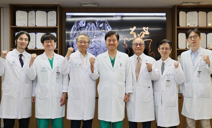 서울아산병원 신경외과 최준호 교수, 영상의학과 권보성·이덕희 교수, 신경외과 안재성·권병덕·박중철 교수, 영상의학과 송윤선 교수