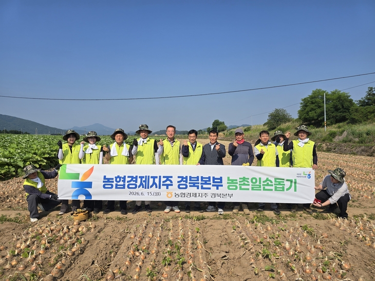 농협경제지주 경북본부, 안동 양파농가 일손돕기 나서