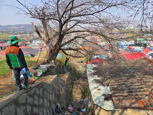 고양특례시 지역 자율방재단 점검