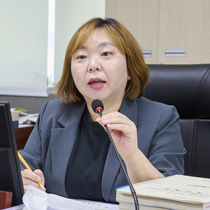 전자영 경기도의원. 제공=경기도의회